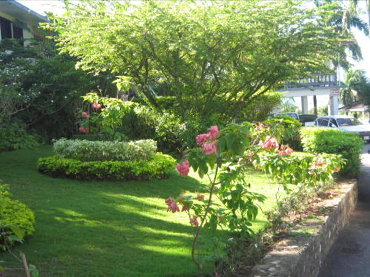 Paradise Brandon Hill Guest House Montego Bay Eksteriør billede